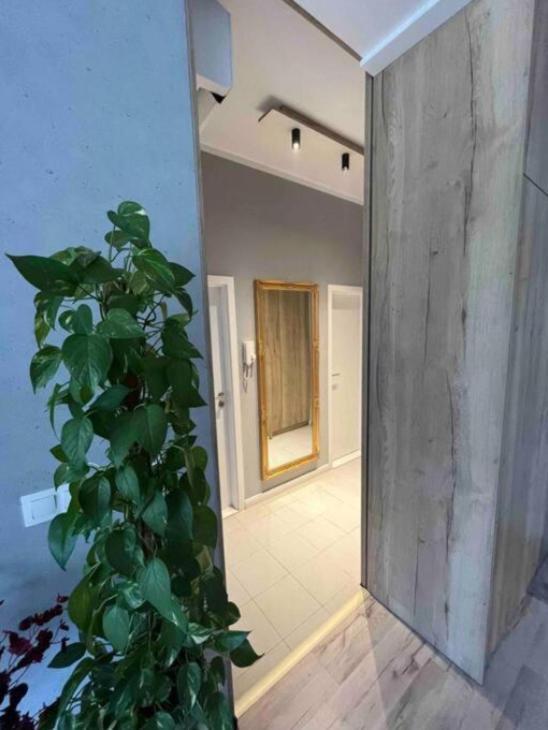 Cozy Apartment Bratislava Exterior photo